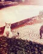 ceciliaguzman.piccsy.com Roundtrip