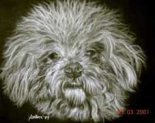 Rudyl