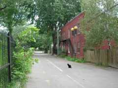 Ruelle