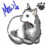 digital-yume.net Ryouni