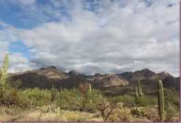 fitnessista.com Sabino