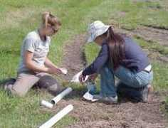 okeechobee.ifas.ufl.edu Sackfield