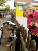 safanews2.mihanblog.com Safasa