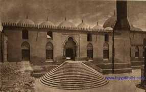 egyptsons.com Safeya