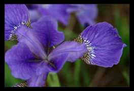 fotocommunity.com Sagawe