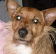 kotkotin.vuodatus.net Sailan