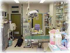 .cts.ne.jp Saiton