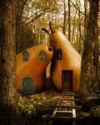 betterphoto.com Sajewski