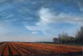 bingbingbing.com Sajrus