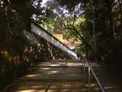 yo.rim.or.jp Sakamiti