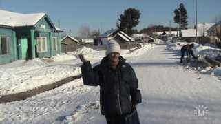 Salamatina