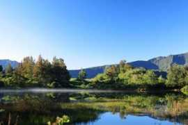 willgoto.com Salazie