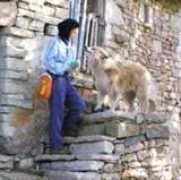 xuliocs.com Salguera