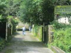 salila.dhamma.org Salila