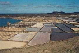 bank-zdjec.com Saliny