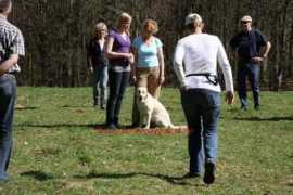 juniorstypical.de Salisch