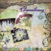 digishoptalk.com Sallymay