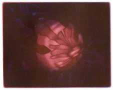 lahdentaidegraafikot.fi Salokannel