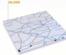 Salomin