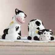 tj6enterprises.com Saltandpepper