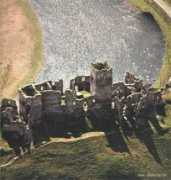 Salvami