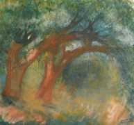Salveru