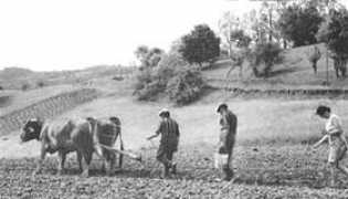 couleur-lauragais.fr Samaille