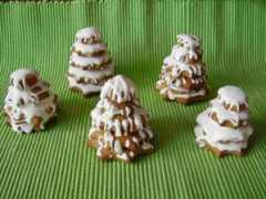 foto.dama.cz Samotta