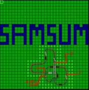 Samsum