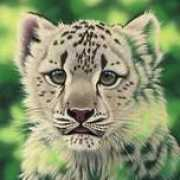 rogeryostgallery.com Samyani