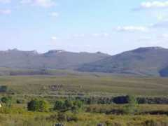 Sanabria