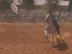 Sanadi