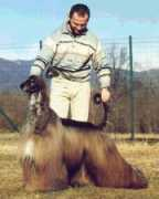 afghans4u.de Sanallah