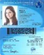 guatemalachicago.com Sanchinel