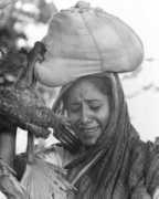 filmreference.com Sandhane