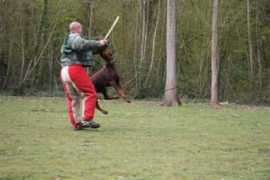 keyala.com Sandrines