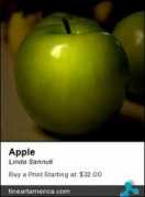 fineartamerica.com Sannuti