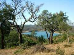 pardieiro.com Santaclara