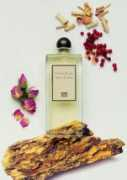 boisdejasmin.com Santal