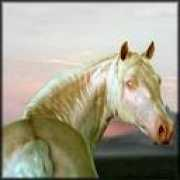 jrbfriesians.com Saphiro