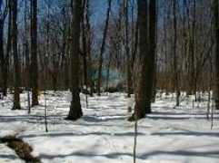 silverwaters.com Saprun