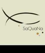 alexandre-bourdas.com Saquana