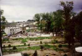 Sarander