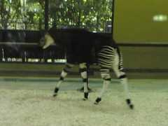 blogger.sarato.net Sarato