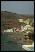 Sardina