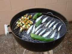 fotothing.com Sardinas