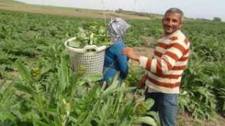 aktifhaber.com Sarikiz