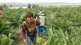 aktifhaber.com Sarikiz