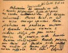 roots-saknes.lv Sarkanis