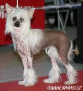 nahaci.cz Sarkanyova